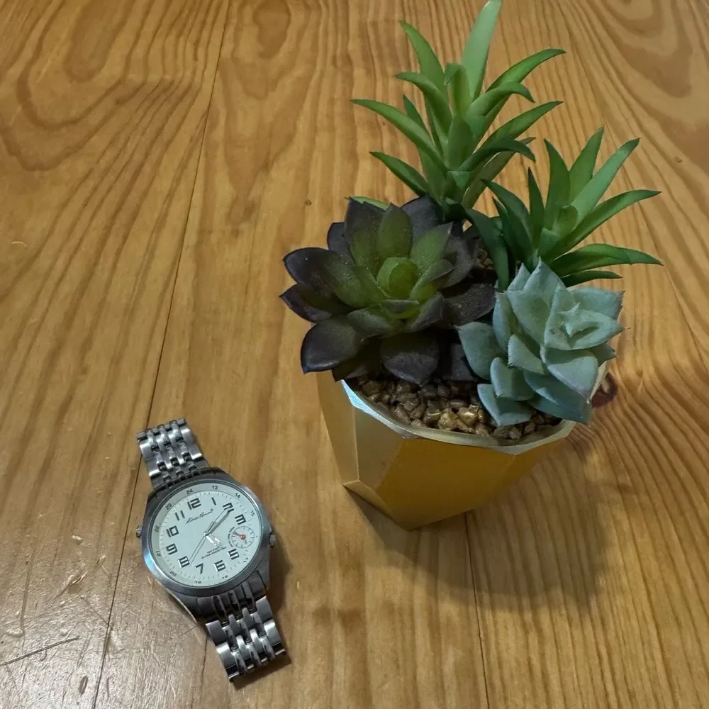 Eddie Bauer Men’s Watch - Dual Time, 5ATM O874 Silver